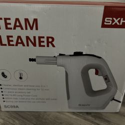 Steam Cleaner