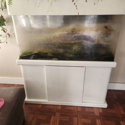90 Gallon Fish Tank