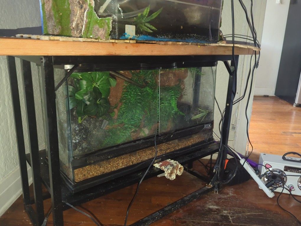 Moving sale!!! Terrarium With Artificial Plants And Spray foam Mountain