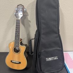 Ukulele Guitar