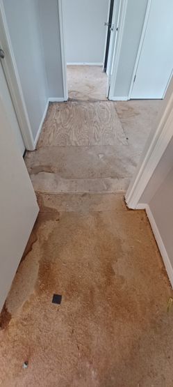 Sub Floor 