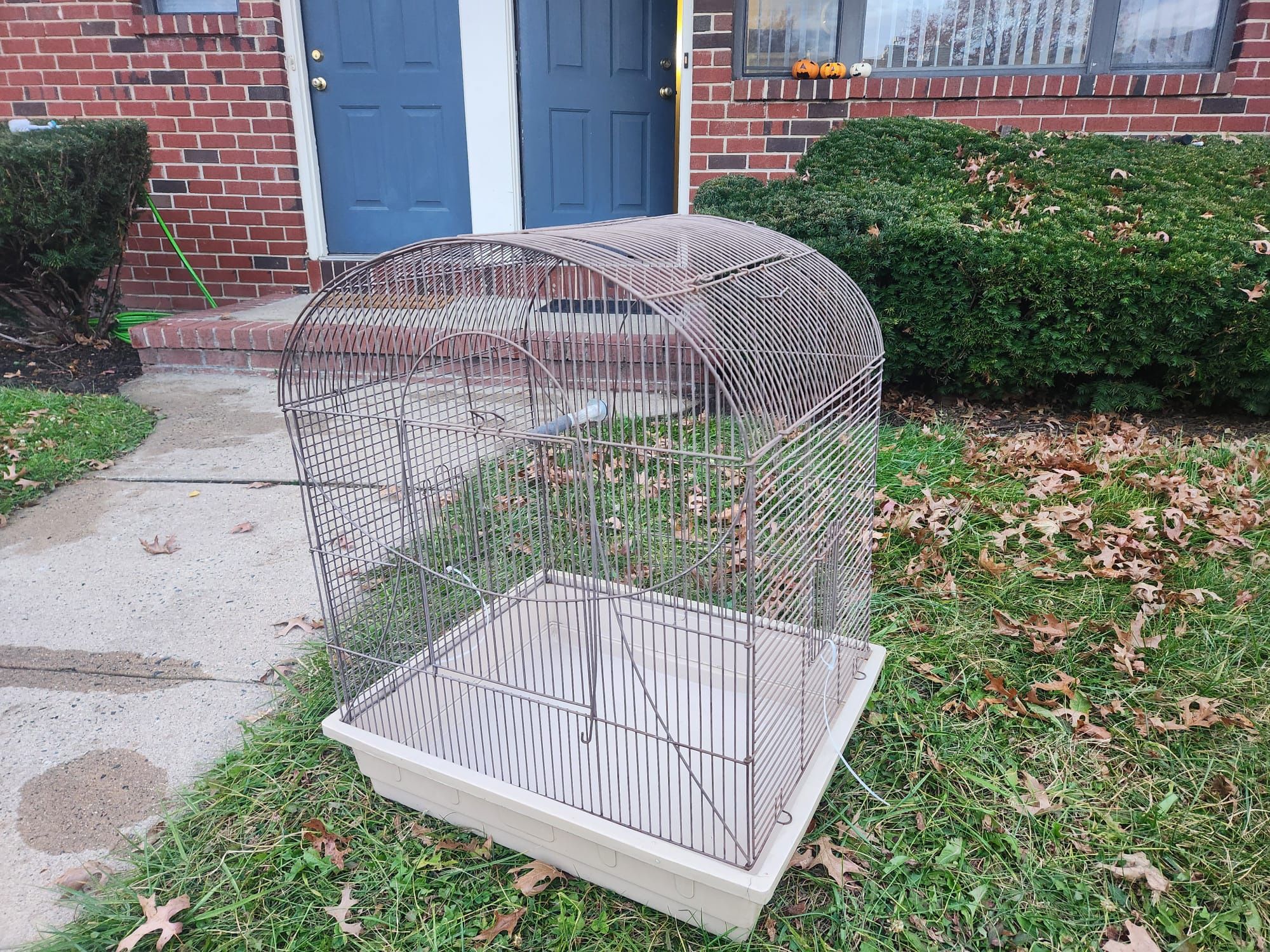 Bird Cage
