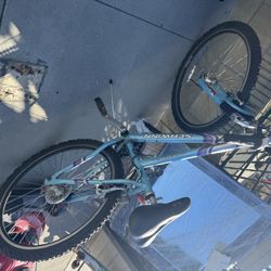 Schwinn bike