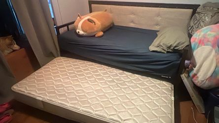 Twin daybed with trundle pull out bed