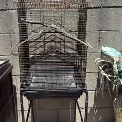 Bird Cage 