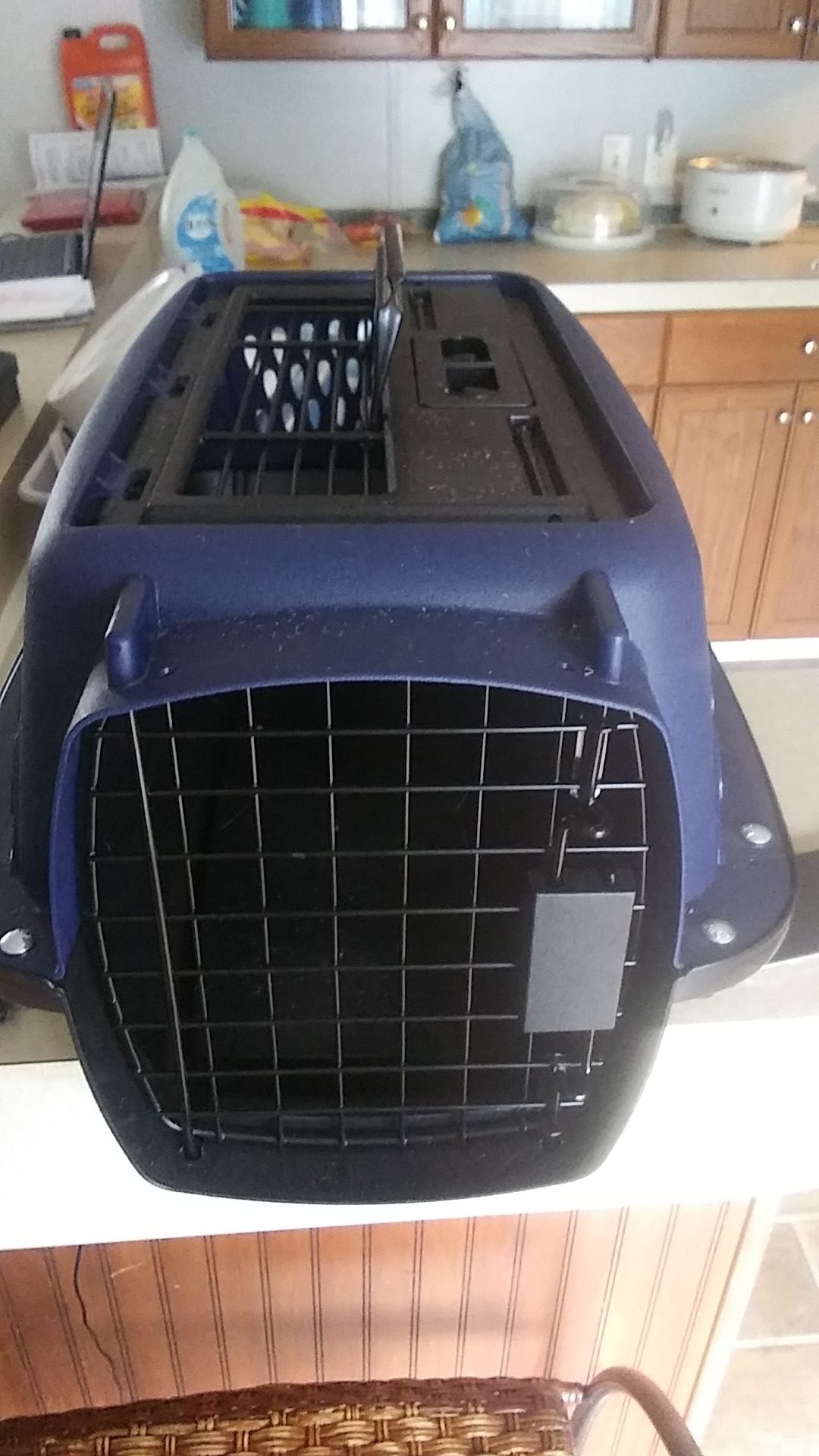 Pet travel
