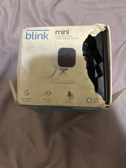 Blink mini