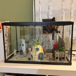 10” Gallon Fish Tank