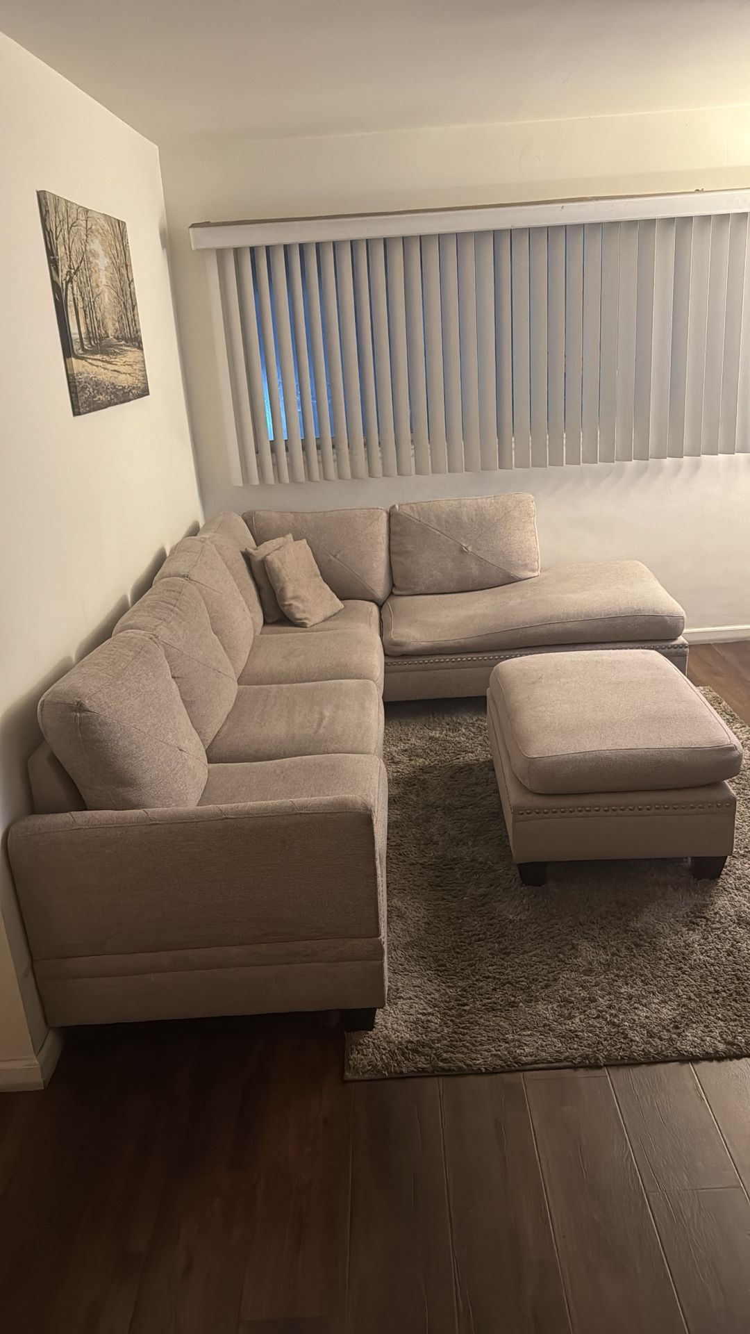 Sectional couch with ottoman ( Cushions covers are washable )