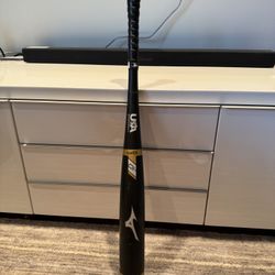 Mizuno B19 Baseball Bat