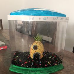 3 Gallon Fish Tank 