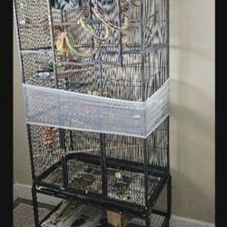Birds and Cage