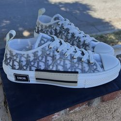 Dior B23 Low Tops 