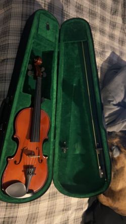 Violin