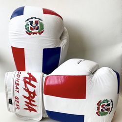DR Boxing gloves 