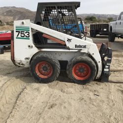 753 Bobcat