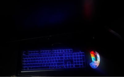 Steel series keyboard and IBUYPOWER mouse