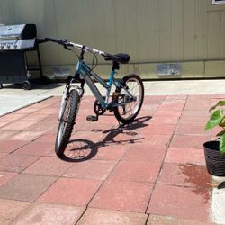 Huffy Highland 20 Inch