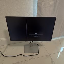 DELL Monitor 