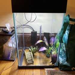 10 Gallon Fish Tank - Bubbler filter, air pump, heater, and lid w/ light INCLUDED