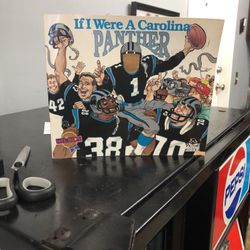 Panthers Book