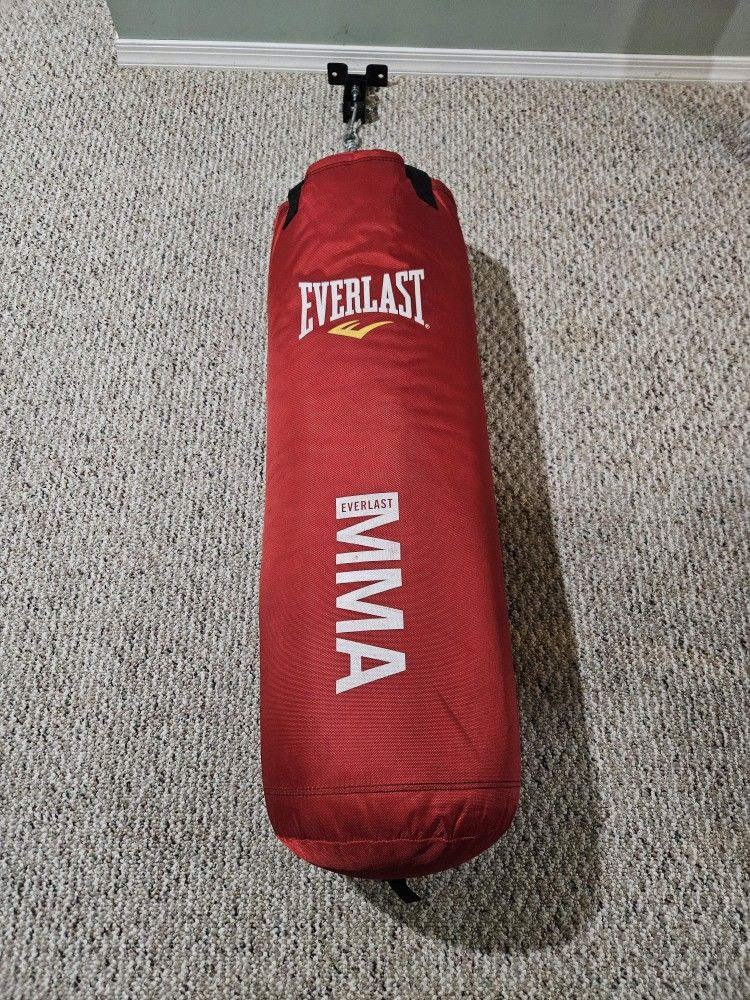 Everlast Punching Bag.