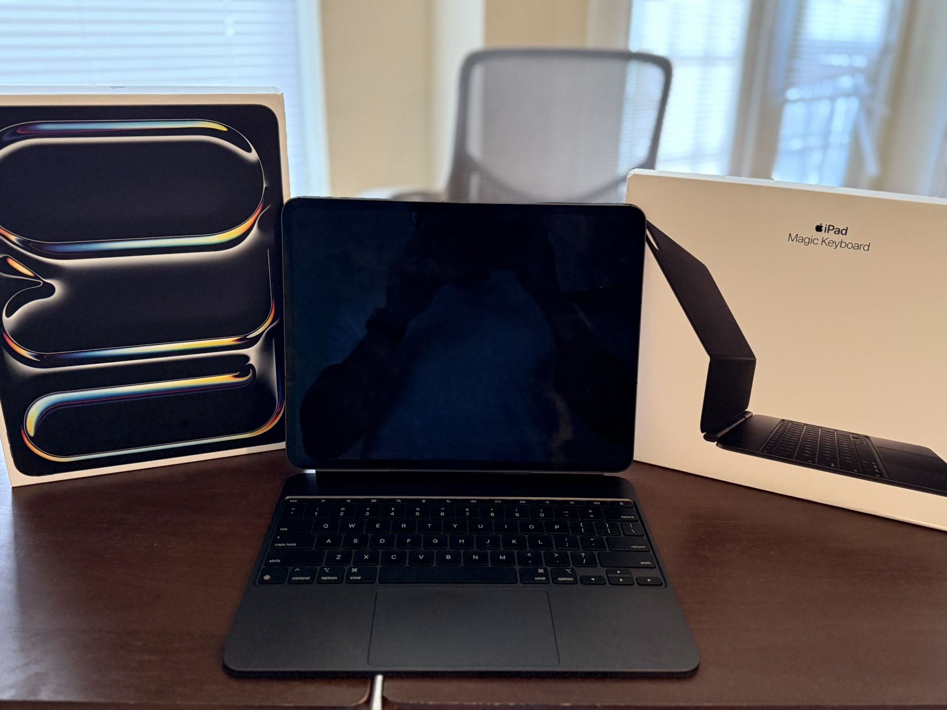 13 Inch iPad Pro M4 512 GB WiFi + Cellular