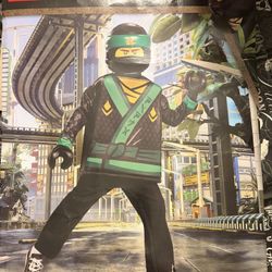 Lego Ninja Halloween Costume