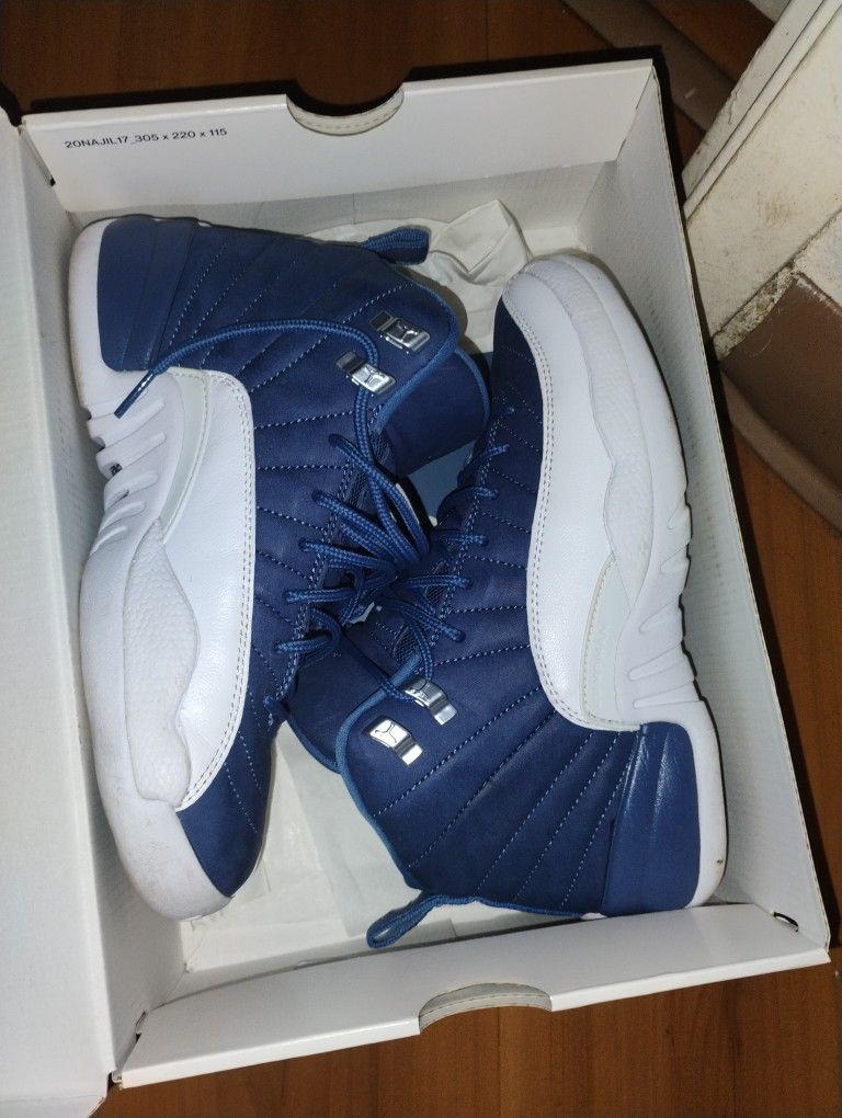 Indigo And White Jordan 12s