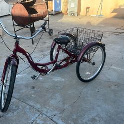 Meridian SCHWINN TRICYCLE 