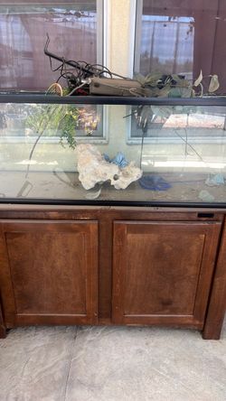 Fish tank