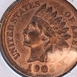 1901 / 19004 Indian Head Penny  ( Liberty  )