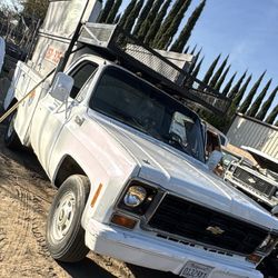 1978 Chevy C20 Pick Up Truck 