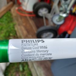 T8 Cool White Bulb, In 4' Or 3'