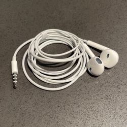 Apple Earbud Headphones (ear buds)