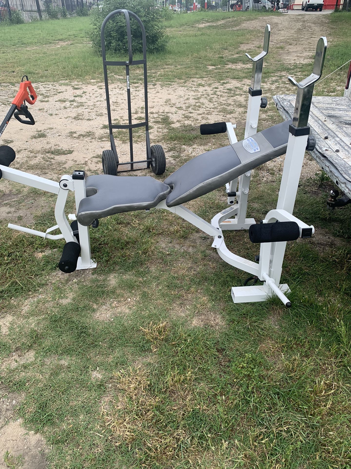 Weight Bench