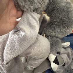 Squirrel, Dog Costume