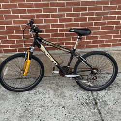 High Quality Schwinn Bike