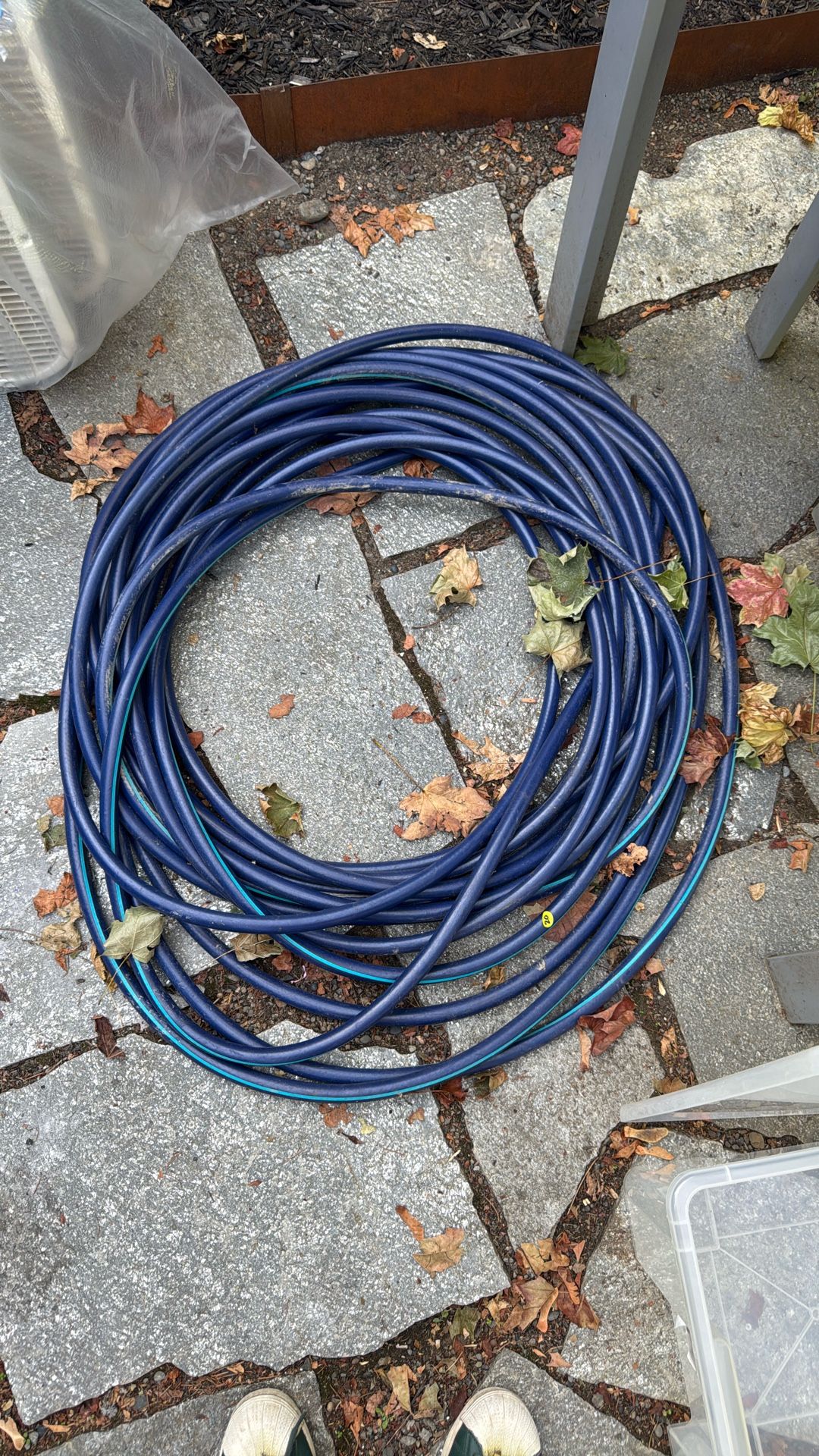 New Hose