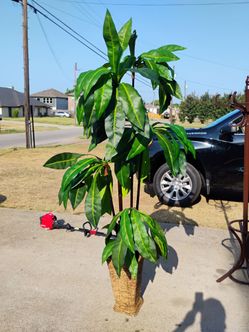 Artificial Bird's Nest Tree. 7'