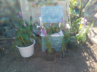 Wishing well planter with flowers