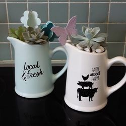 Small Ceramic Pitchers With Succulant Plants