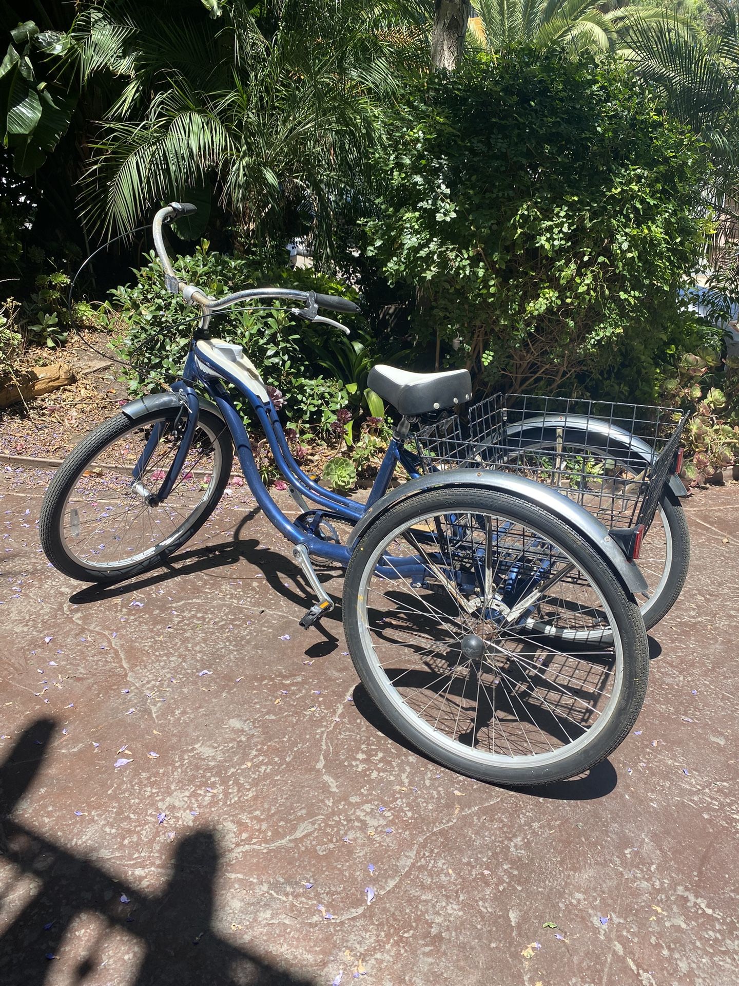 Schwinn 3 Wheeler Bike