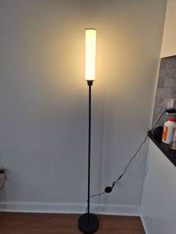 LED Floor Lamp with Remote & Foot Switch – $20 Firm