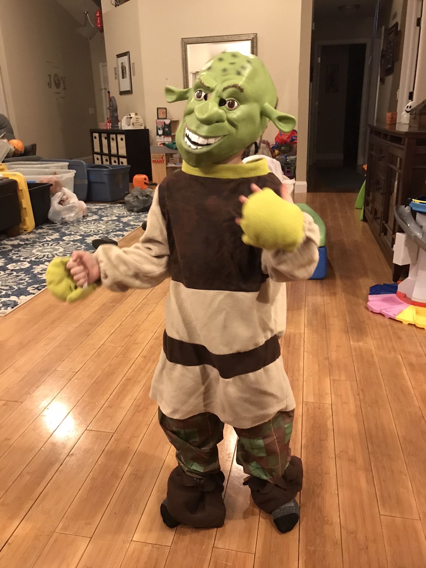 Shrek Halloween Costume Like New