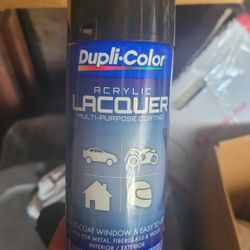 Duplicolor Acrylic Laquer Black Spraypaint Glossy