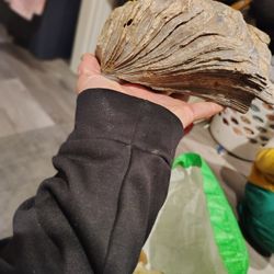 Crystals , Petrified Wood Etc.