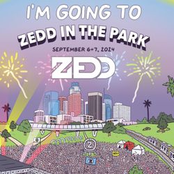 Zedd in the park 