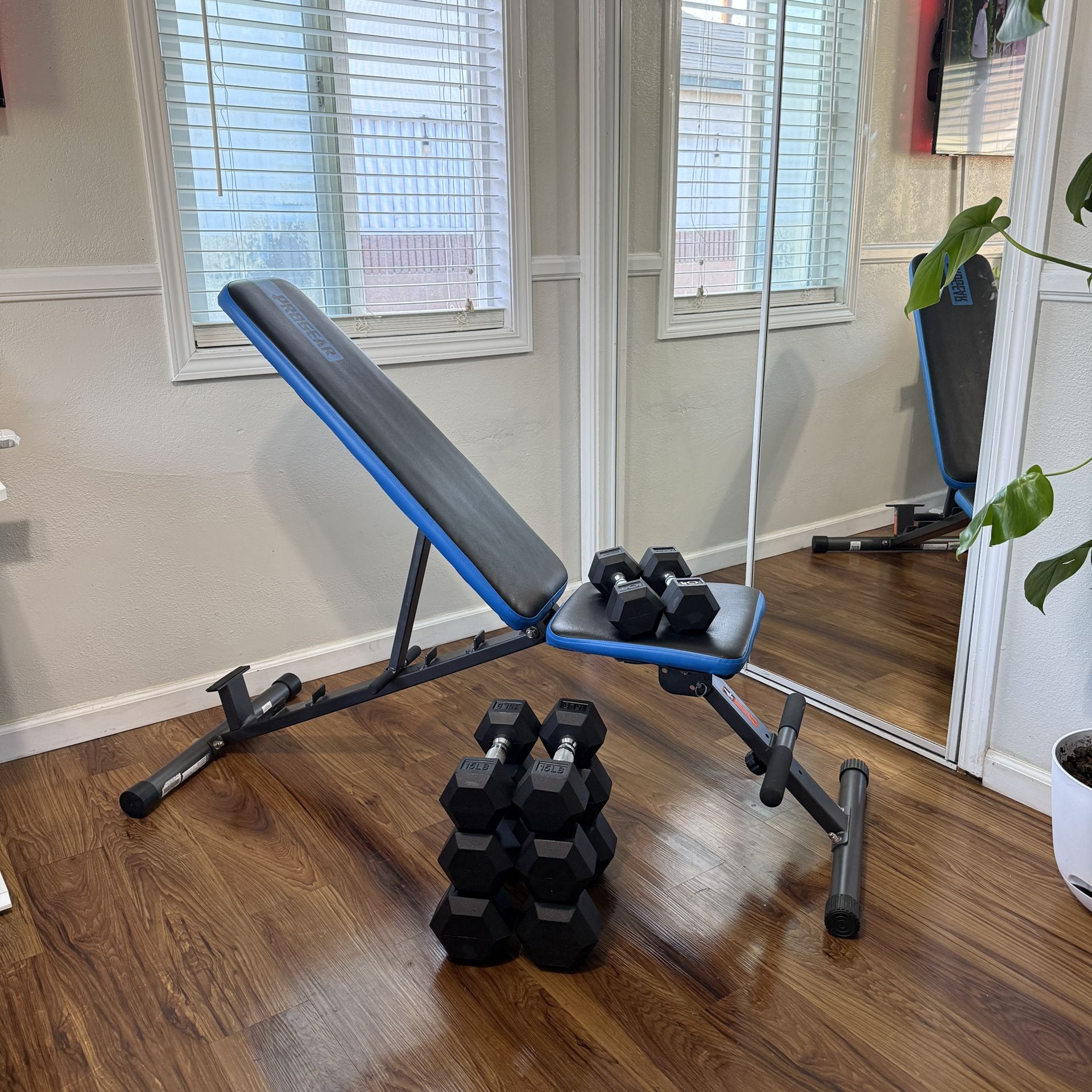 Bench + Dumbbell Set $200