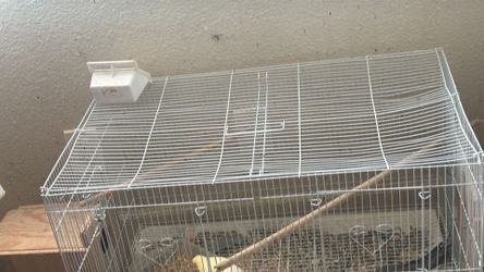 Bird cage